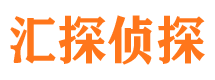 乃东市侦探公司